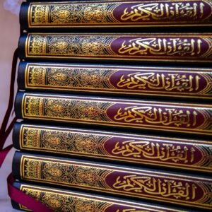 quran, book, holy, muslim, islamic, islam, religion, religious, quran, quran, quran, quran, quran